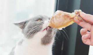 猫不能吃什么肉